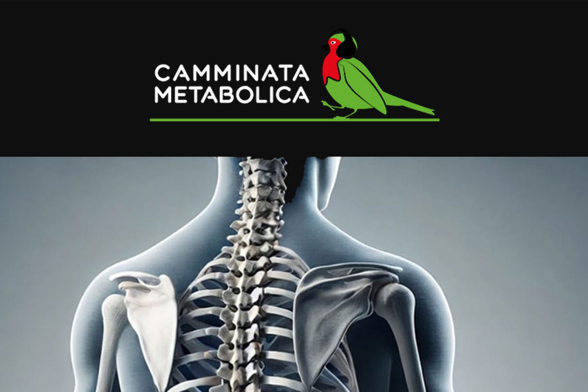 farmaco gratuito mal di schiena